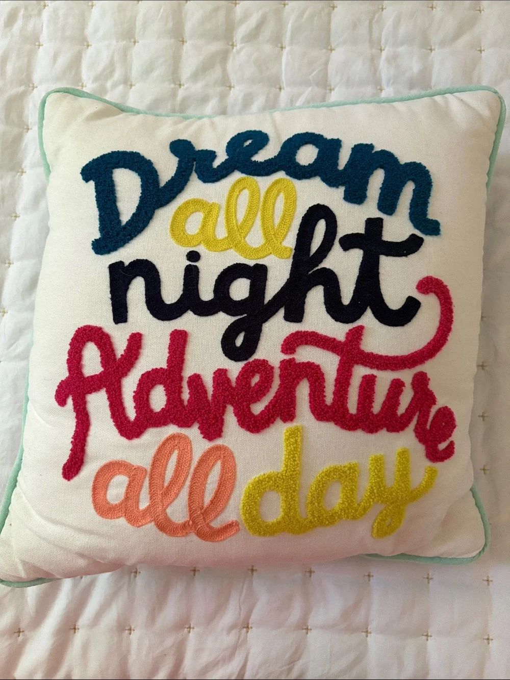 Pillowfort Embroidered 'Dream all night Adventure all day' Throw Pillow - Multi